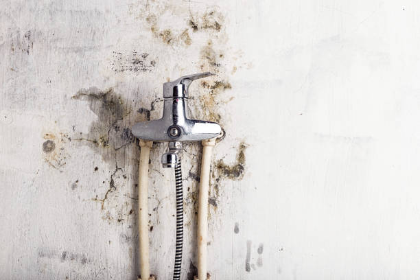 Mold Removal Process in Duncannon, PA