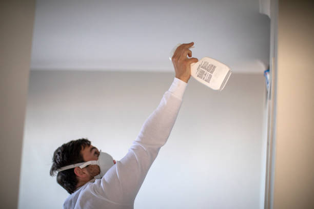 Best Mold Testing and Removal  in Duncannon, PA